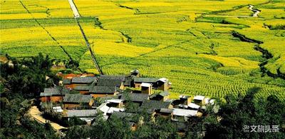 临沧市文旅局多措并举，加快推进民族文化传承与开发行动