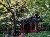 【就爱去昆明五华】翠湖秋韵