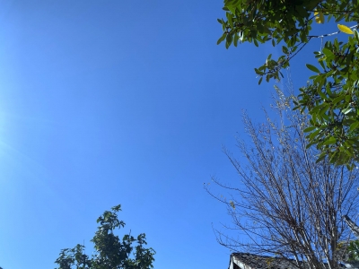 够有诚意，丽江用一片蓝天迎接11月！