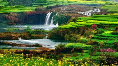 七彩云南 好在曲靖——罗平县