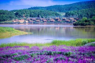 2019旅交会健康旅游馆力推云南特色小镇 小镇代表解读各地特色小镇魅力