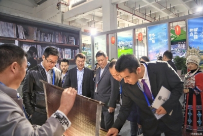云南省发改委副主任徐绍文到健康旅游馆巡馆，盛赞云南特色小镇首次集中亮相对品牌建设起到良好助推作用
