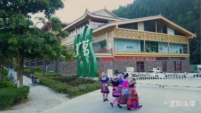 探秘屏边火山群，云南百万年火山山泉昆明“喷发”