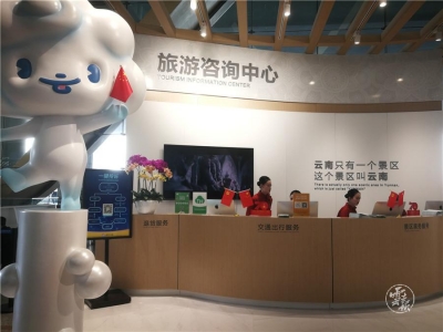 游客眼中的云南旅游革命“三部曲”
