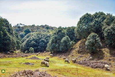 七彩云南 好在曲靖——师宗县