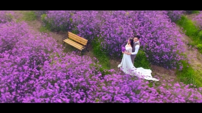 【就爱去大理】邂逅云海芳草 享受无限浪漫 