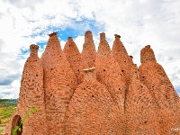 【就爱去弥勒】等闲识得“东风韵”，葡萄飘香迎你来