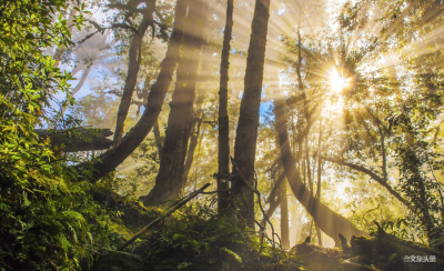 【点赞】红河州又一县市获得殊荣，这个荣誉含金量还不小！