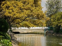 【就爱去昆明西山】大观河畔赏秋色