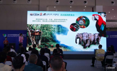 西双版纳与鄂尔多斯双城旅游对话走进“2019旅交会” 联合推介两地文化旅游  