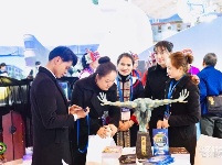 【2019中国国际旅交会】云南馆——昆明馆