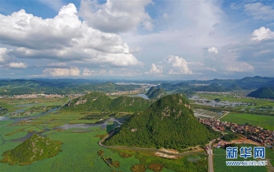 三七之乡 神奇文山——丘北