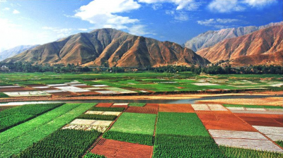 【攻略】冬季出游到元谋，细沙暖阳、温泉热汤、甜蜜瓜果，养生避寒游安排起来！