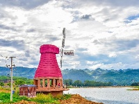 【就爱去弥勒】等闲识得“东风韵”，葡萄飘香迎你来