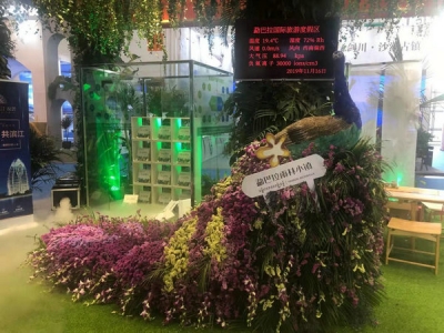 勐巴拉文旅首次亮相 特色小镇勐巴拉究竟在下一盘怎样的大棋？