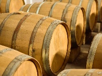 【就爱去弥勒】等闲识得“东风韵”，葡萄飘香迎你来