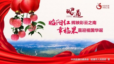 省长阮成发向世界推介昭通苹果