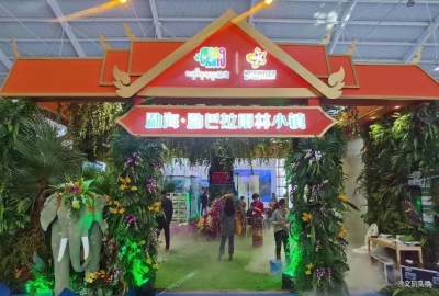 西双版纳·勐巴拉雨林小镇 2019国际旅交会最靓的一抹“绿”