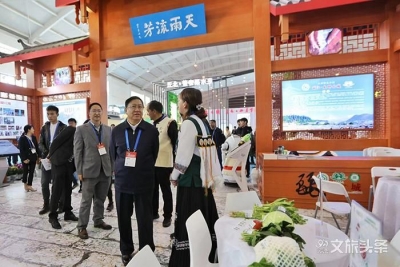 2019中国国际旅交会开幕 云南省卫健委党组书记王灿平到健康旅游馆巡馆