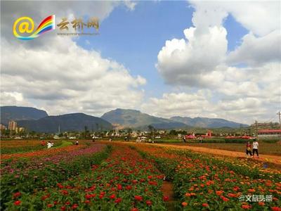 世界花都 魅力昆明——富民