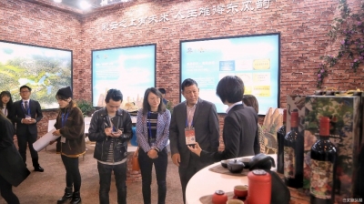 云南省发改委副主任徐绍文到健康旅游馆巡馆，盛赞云南特色小镇首次集中亮相对品牌建设起到良好助推作用