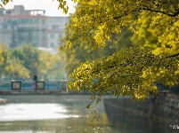【就爱去昆明西山】大观河畔赏秋色