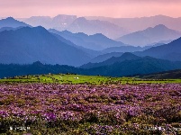 乐山旅游推介暨新概念合作社旅游推介会在昆明举行 
