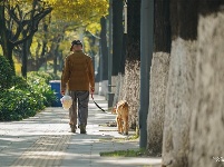 【就爱去昆明西山】大观河畔赏秋色