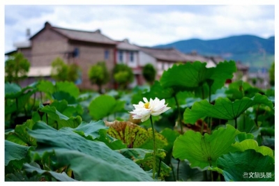 @所有人 免费游大理巍山 价值95000元的1000张票等你领
