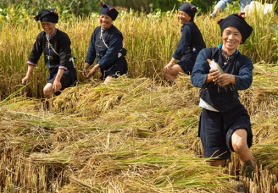 元江县——红河谷中太阳城