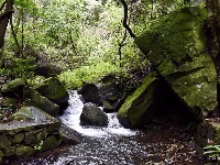 【就爱去安宁】高山峡谷青龙峡