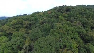 【就爱去陇川县】陇川户撒佛祖花园