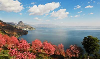 澄江县——国家级生态示范县