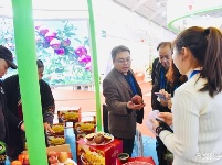 【2019中国国际旅交会】云南馆——昭通馆