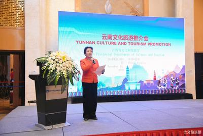 马来西亚旅游分享会在昆举行  助推“2020中马文化旅游年”