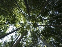 【就爱去盈江】勐弄村龙门古寨 周末休闲好去处