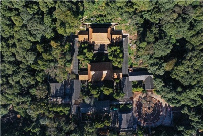 森林+旅游，解锁武定狮子山康养旅游新玩法！