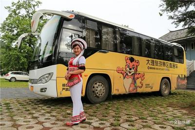@所有人 免费游大理 总价值111000元的14000张旅游直通车车票等你领