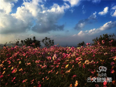 世界花都 魅力昆明——嵩明