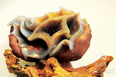 三七之乡 神奇文山——砚山