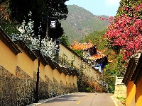 【就爱去保山】历史文化名城保山