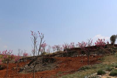 七彩云南 好在曲靖——富源县