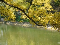 【就爱去昆明西山】大观河畔赏秋色