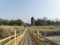 【就爱去盈江】盈江国家湿地公园 萧萧江水翻白沙