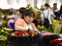 【就爱去呈贡】斗南花市  花花世界