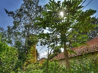 【就爱去蒙自】在碧色寨火车站感受“芳华”