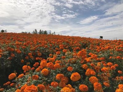 七彩云南 好在曲靖——富源县