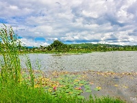 【就爱去弥勒】等闲识得“东风韵”，葡萄飘香迎你来