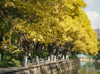 【就爱去昆明西山】大观河畔赏秋色