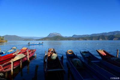 鸥翩湖面，最近的泸沽湖真浪漫（组图）